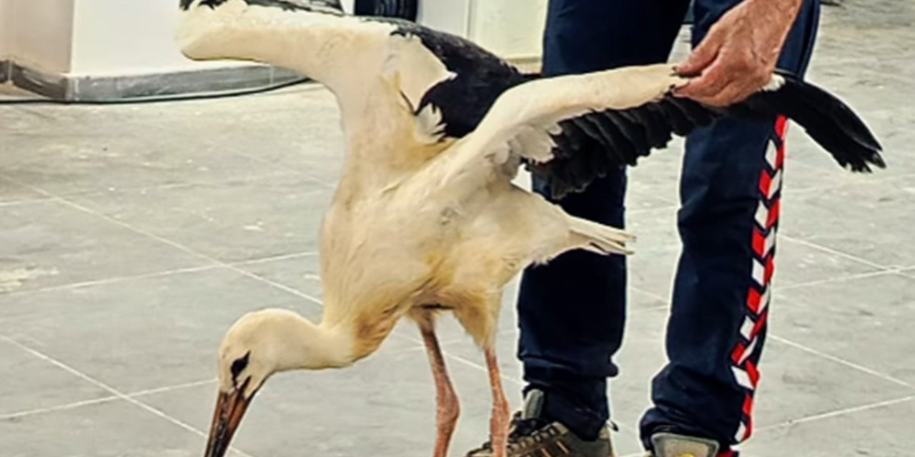 Ayağına ip dolanan leylek itfaiye ekiplerince kurtarıldı