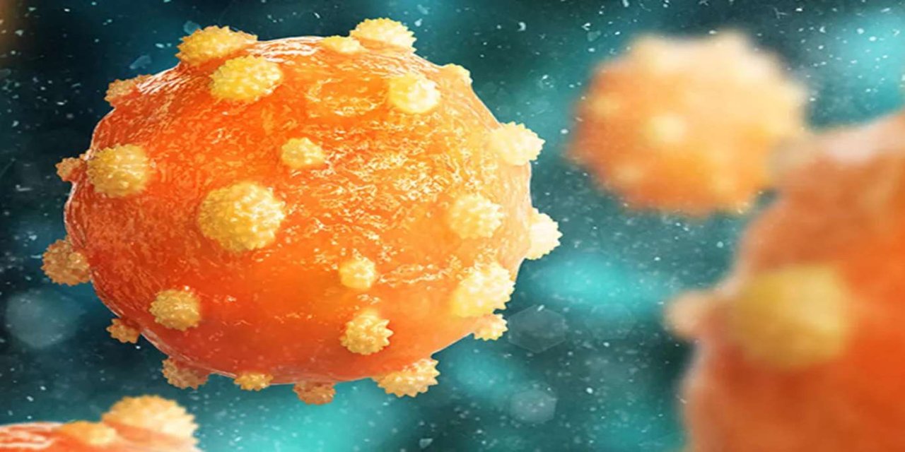 Hepatitler hakkında doğru bilinen yanlışlar