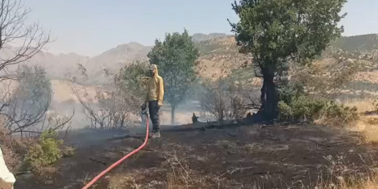Batman'da Sason ilçesine bağlı Şahinli köyü kırsalında çıkan orman yangını kontrol altına alındı