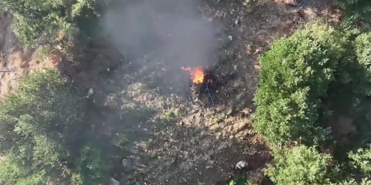 Diyarbakır'da 247 bin 145 kök kenevir ve skunk imha edildi
