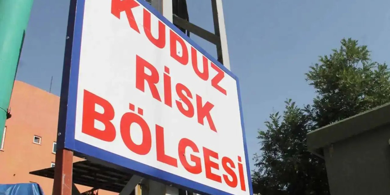 Diyarbakır'da 3 yaşındaki çocukta kuduz vakası tespit edildi