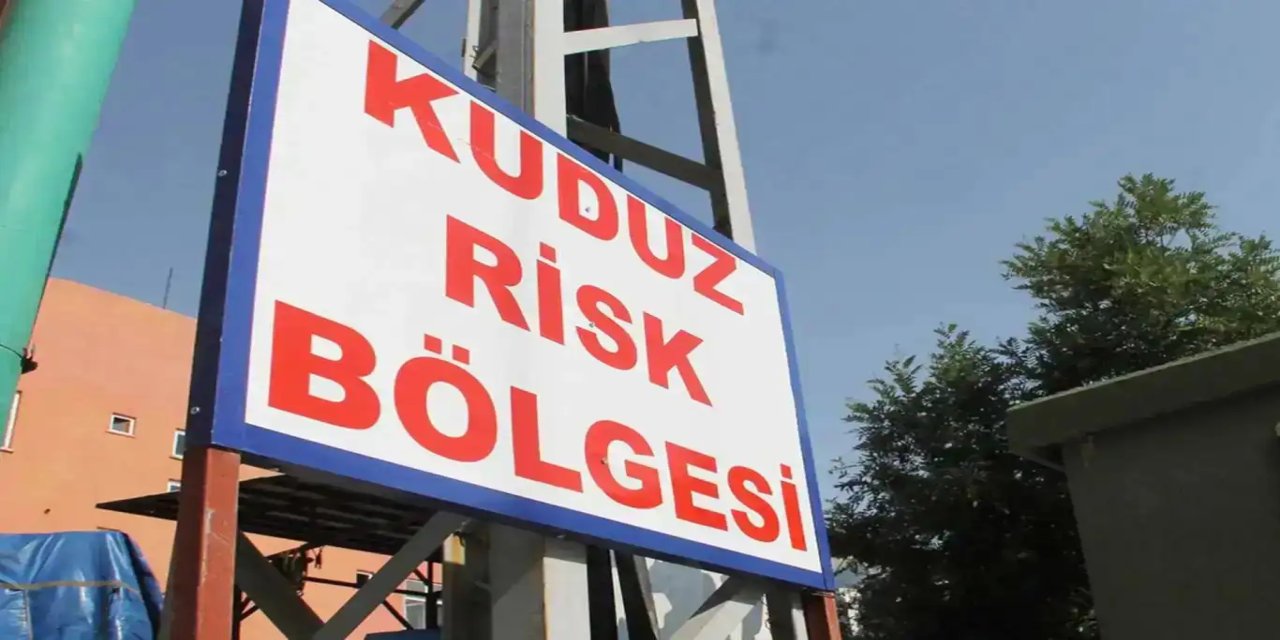 Li Dîyarbekirê zarokekî 3 salî bi nexweşiya harbûnê ketiye