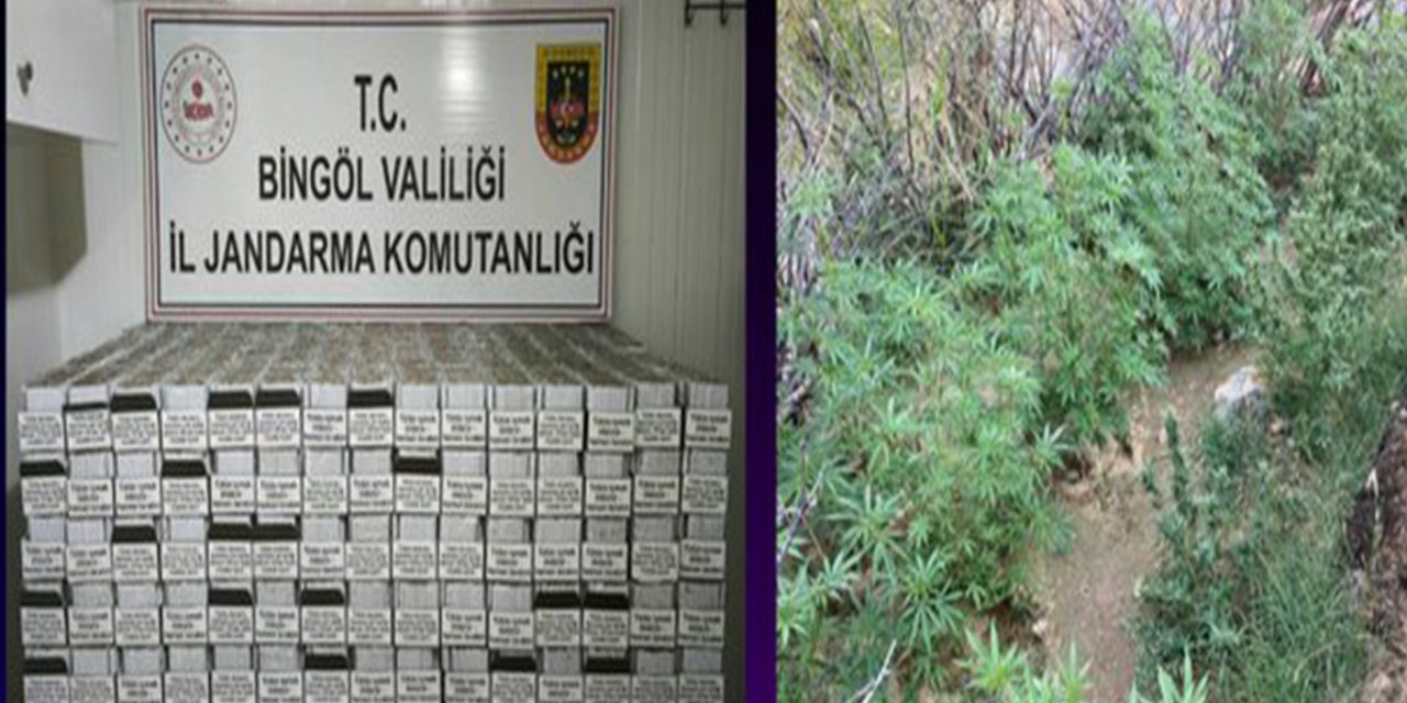 Bingöl’de uyuşturucu operasyonu: 30 şüpheli yakalandı