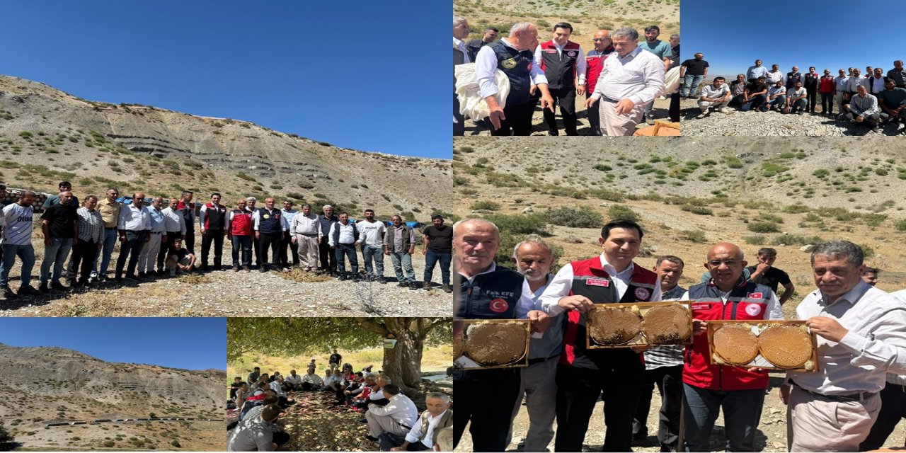 Siirt’in Pervari ilçesinde organik bal üretimi için yeni alanlar oluşturuluyor