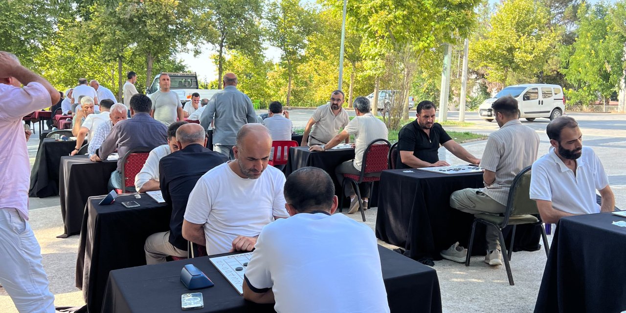 Birinci Çınar Dama Turnuvası düzenlendi