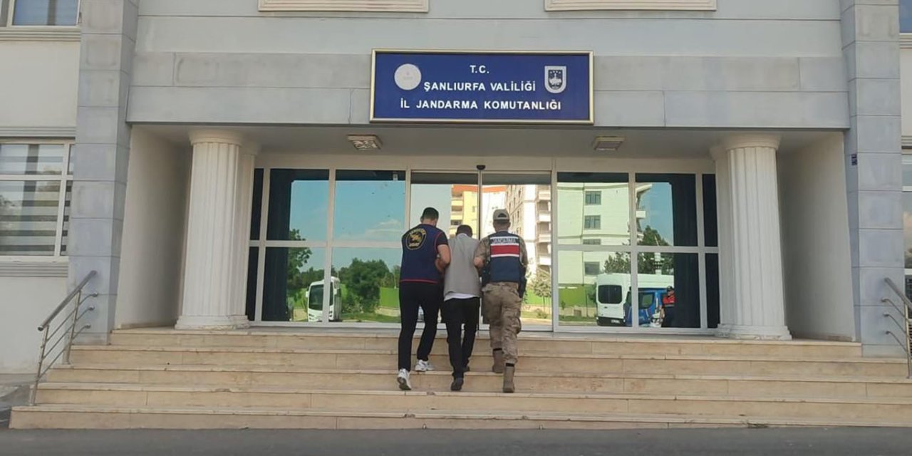Şanlıurfa'da 72 milyon liralık dolandırıcılığın firari şüphelisi yakalandı