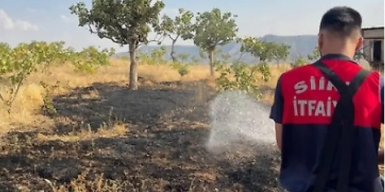 Siirt’te bağ yangınında 33 fıstık ağacı ile onlarca meyve ağacı zarar gördü