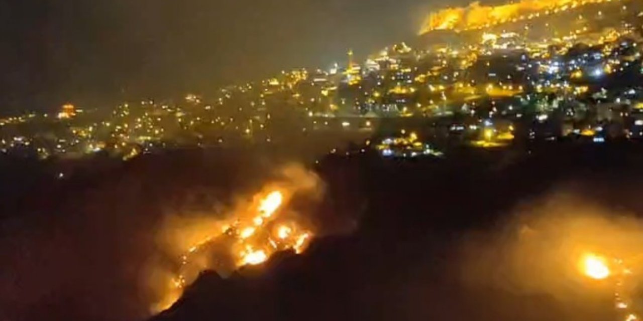 Mardin’de örtü yangını evlere ulaşmadan söndürüldü