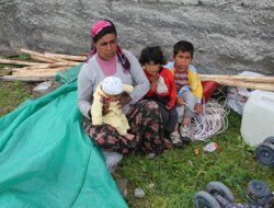 Bebeklerimi Sokaktan Kurtarın!