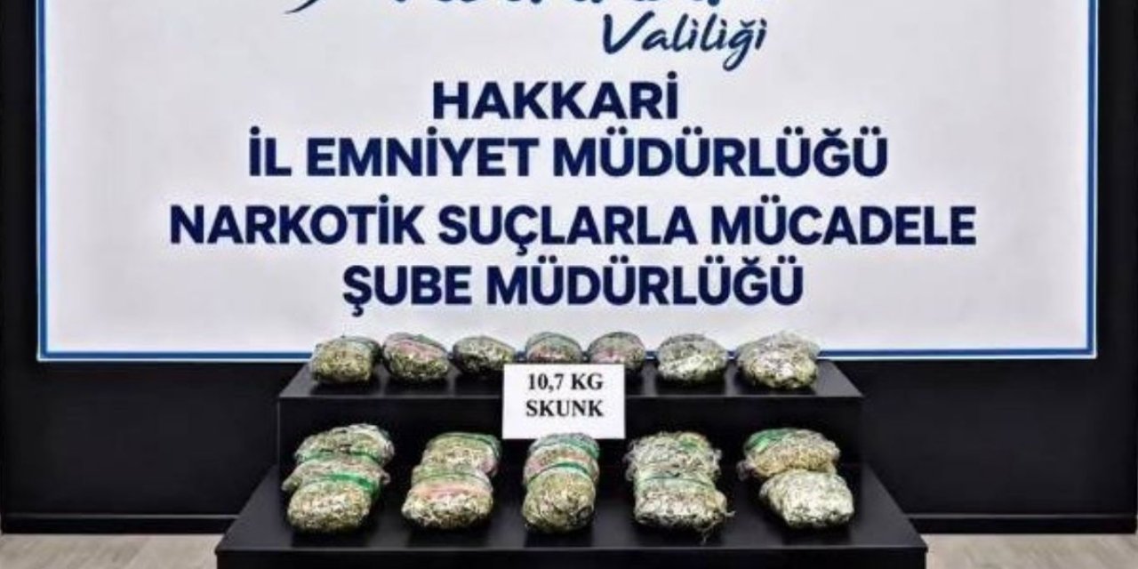 Hakkari'de 10 kilogram skunk ele geçirildi: 9 tutuklama
