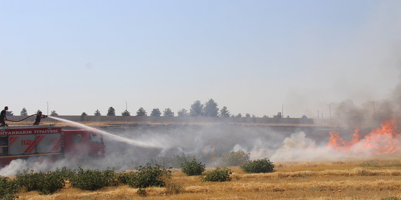 Li Diyarbekirê şewata pirêzê ya ku bi bandora bayê bi lez belav bû hat vemirandin