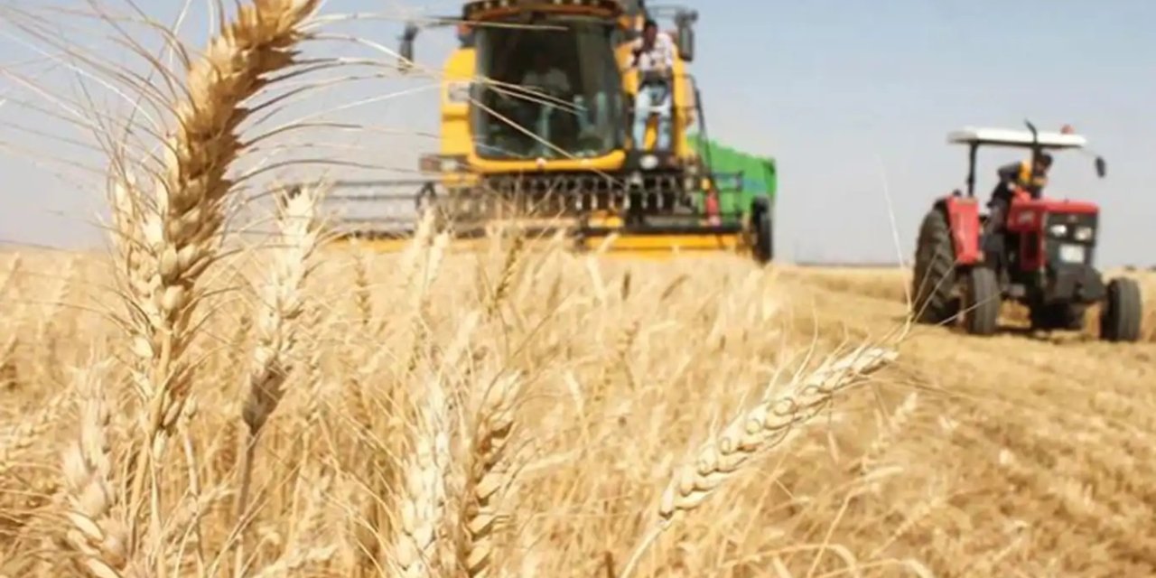 Güneydoğu'nun hububat sektörü ihracatı 8 ayda 2,5 milyar dolara ulaştı