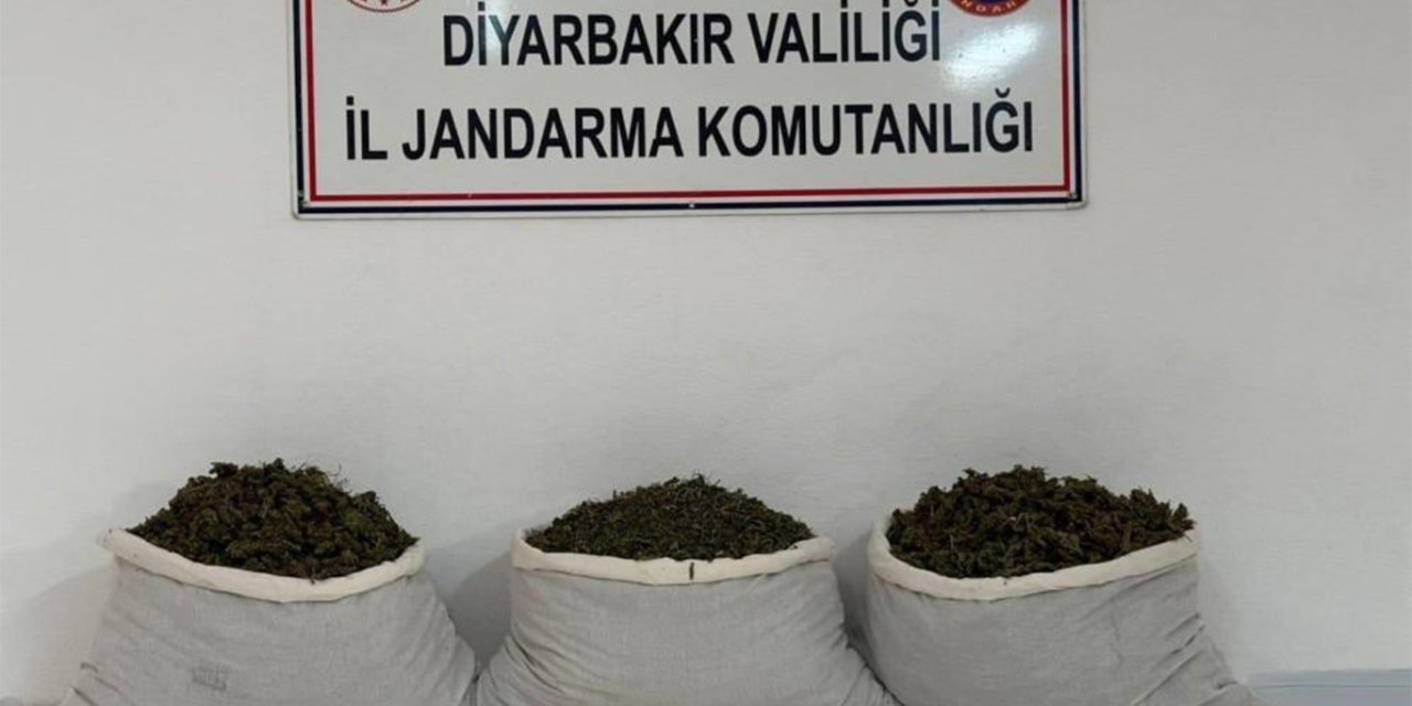 Diyarbakır’da 253 bin 752 kök kenevir ele geçirildi: 25 şüpheliye yasal işlem