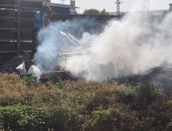 İzmarit yangına neden oldu