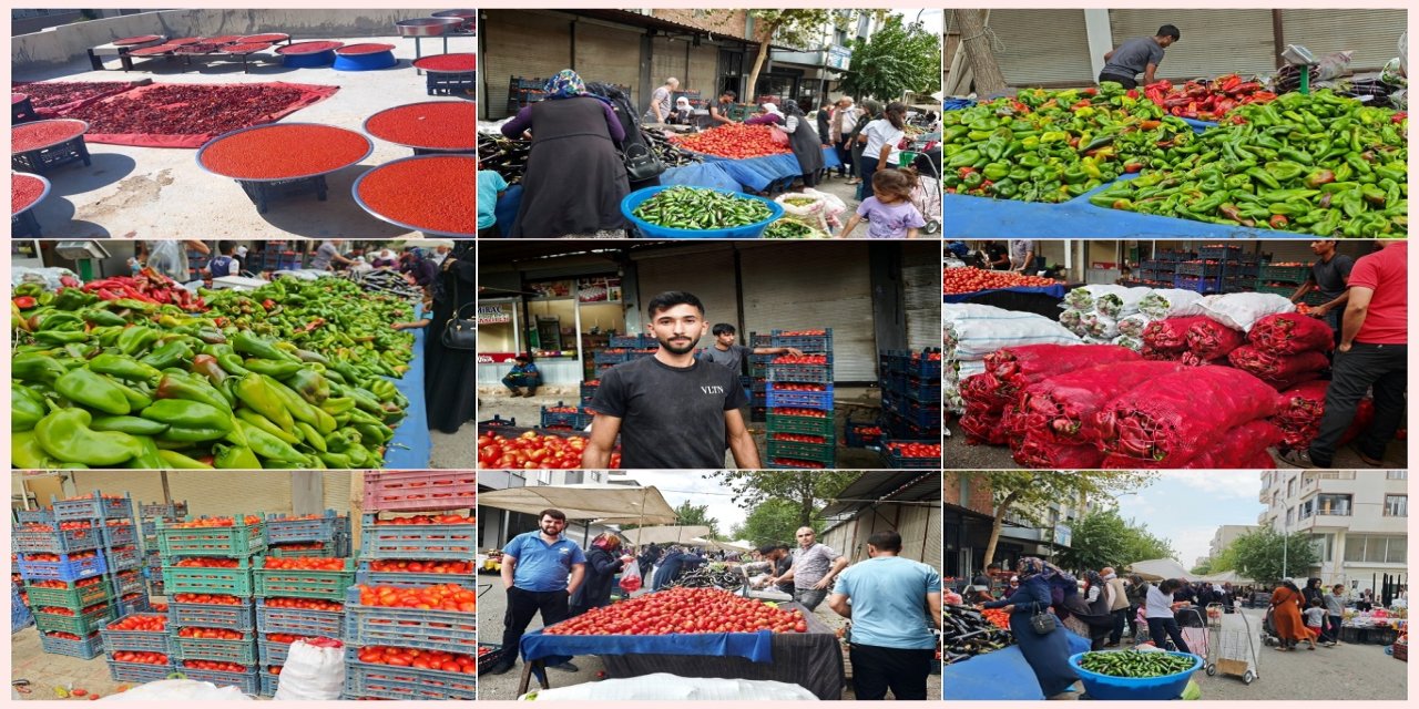 Şanlıurfa'nın Siverek ilçesinde isot telaşı başladı: Damlar kırmızıya büründü