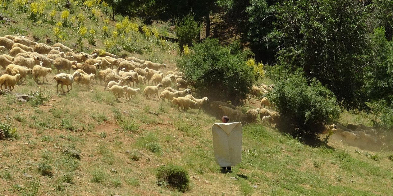 Gençler köyleri terk etti, hayvancılık can çekişiyor