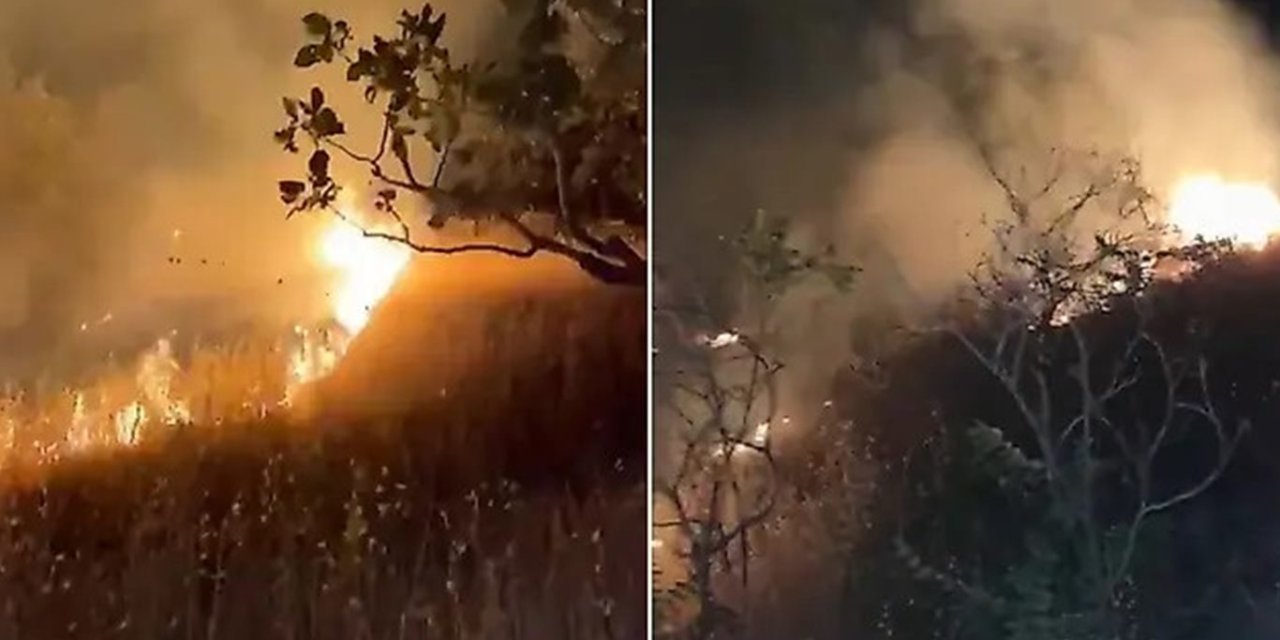 Siirt'te kontrol altına alınan yangın gece yeniden başladı