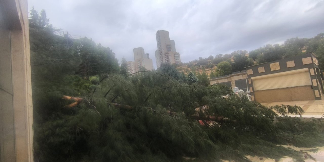 Mardin’de sağanak yağış hayatı olumsuz etkiledi