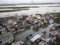 Ölenlerin sayısı bine yaklaştı
