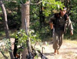 Pkk, Bingöl'de 3 Kişiyi Kaçırdı