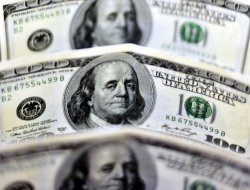 Dolar rekor tazeledi