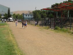 Cizre'de "Koşu Yarışması" düzenlendi