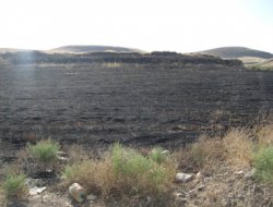 Uyarılara rağmen yine yakılıyor!