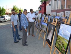 İlçelerde resim sergisi