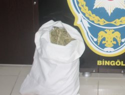 Bingöl'de esrar baskını