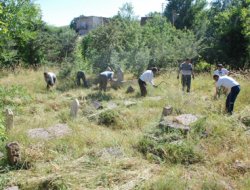 Mezarlıklardaki otlar temizlenmeye başlandı