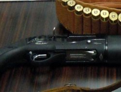 Kocaeli'nde cinnet vahşeti!