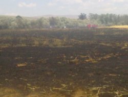 Kovancılar'da 50 dönüm arazi yandı