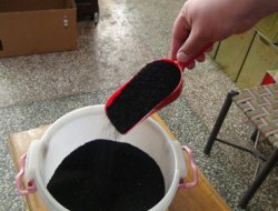 Ölümden başka her derde deva olan bitki: Çörek Otu