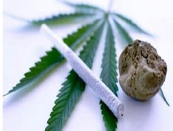 AB Uyuşturcu Pençesinde