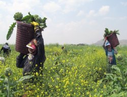 Çiftçilere 2,3 milyar liralık destek ödemesi