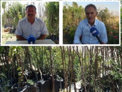 Fidan satıcıları belediyeye tepkili