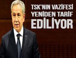 Arınç`tan 35. madde açıklaması