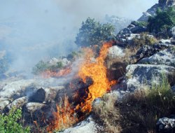 Ormanlık alan yeniden alevlere teslim oldu