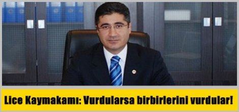 Lice Kaymakamı: Vurdularsa birbirlerini vurdular