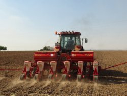 Mısır ekimi başladı