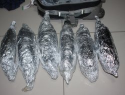 Bingöl'de 15 kilo 488 gram esrar ele geçirildi