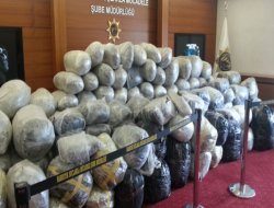 İstanbul'da 1 ton uyuşturucu ele geçirildi