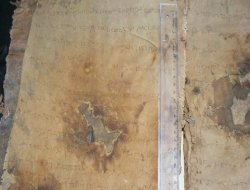 1700 yıllık tarihi İncil ele geçirildi