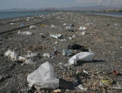 Çöp sahile halktan tepki!