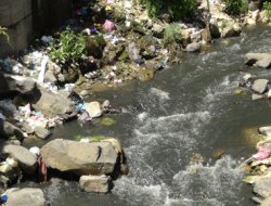 Bitlis deresi hastalık saçıyor