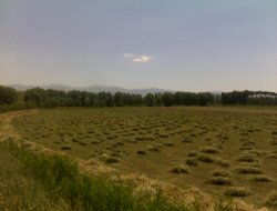 Saman fiyatları nihayet düştü