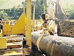 Projeya Nabucco Betal Bû