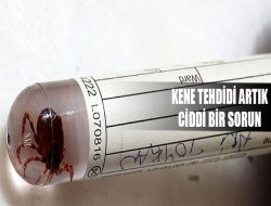 Kene Tehdidi Türkiye`nin Her Bölgesinde