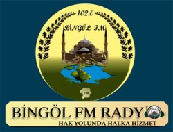 Bingöl FM Basın A.Ş. TV teklifi verdi
