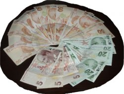 Bingöl'de iki hırsız yakalandı